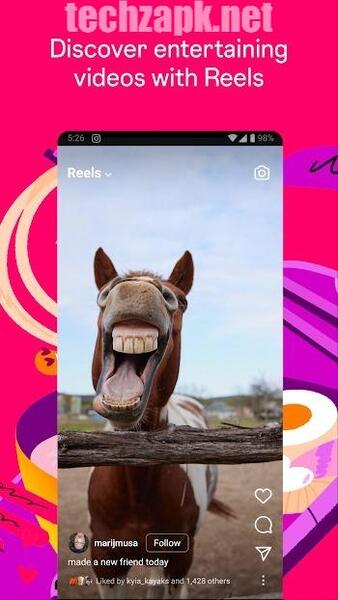 Insta Nice APK Screenshot 2 - Media Download Interface